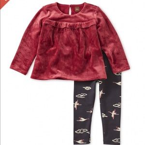 NWT Tea Collection outfit